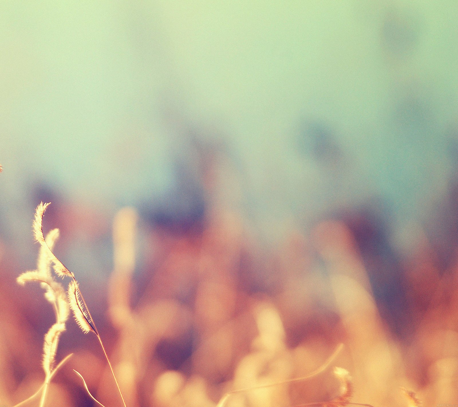 Magical Dubai - 4 Nights